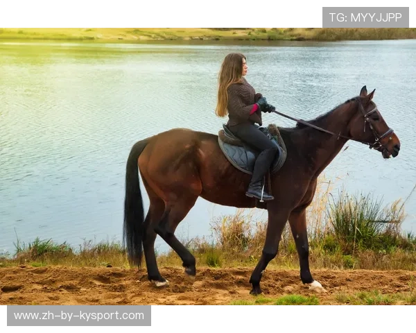 乡村花样骑马体验，领略牧民生活的独特魅力，骑马乡行记