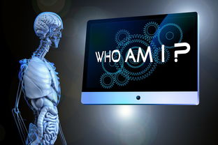高校运动员心理健康支持体系研究，高校运动员心理健康支持体系研究论文